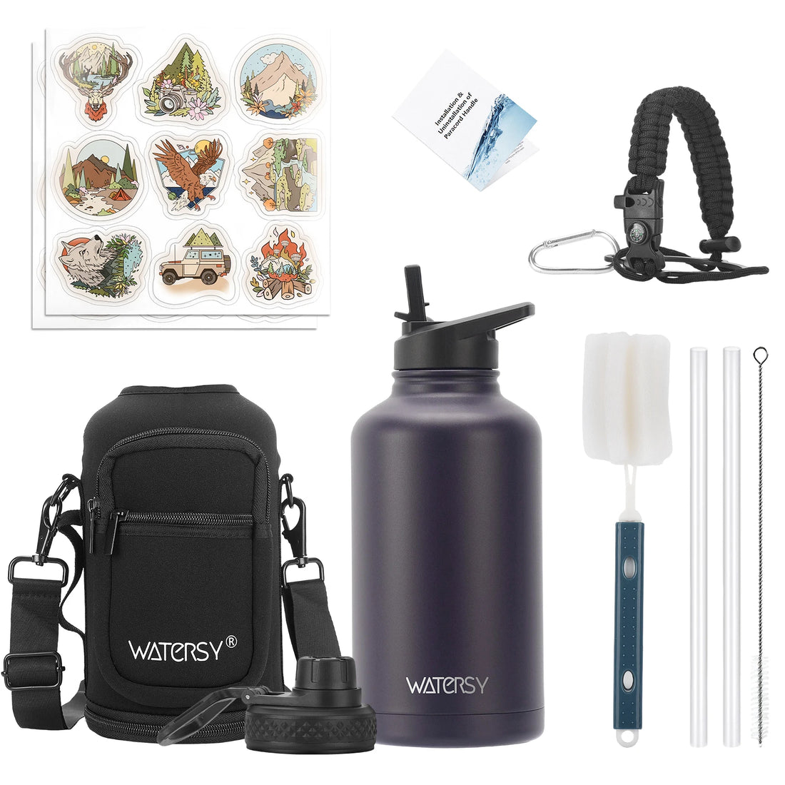 Insulated Stainless Steel Water Bottle