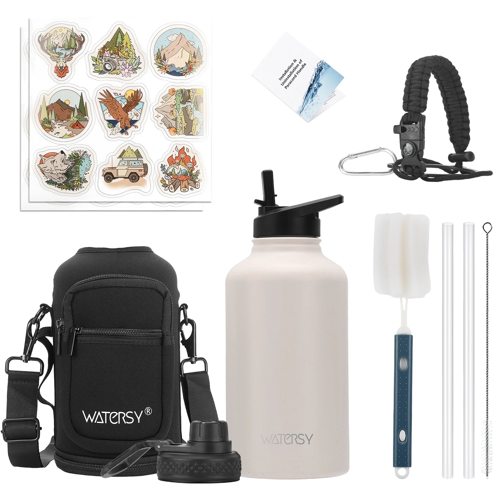 Insulated Stainless Steel Water Bottle