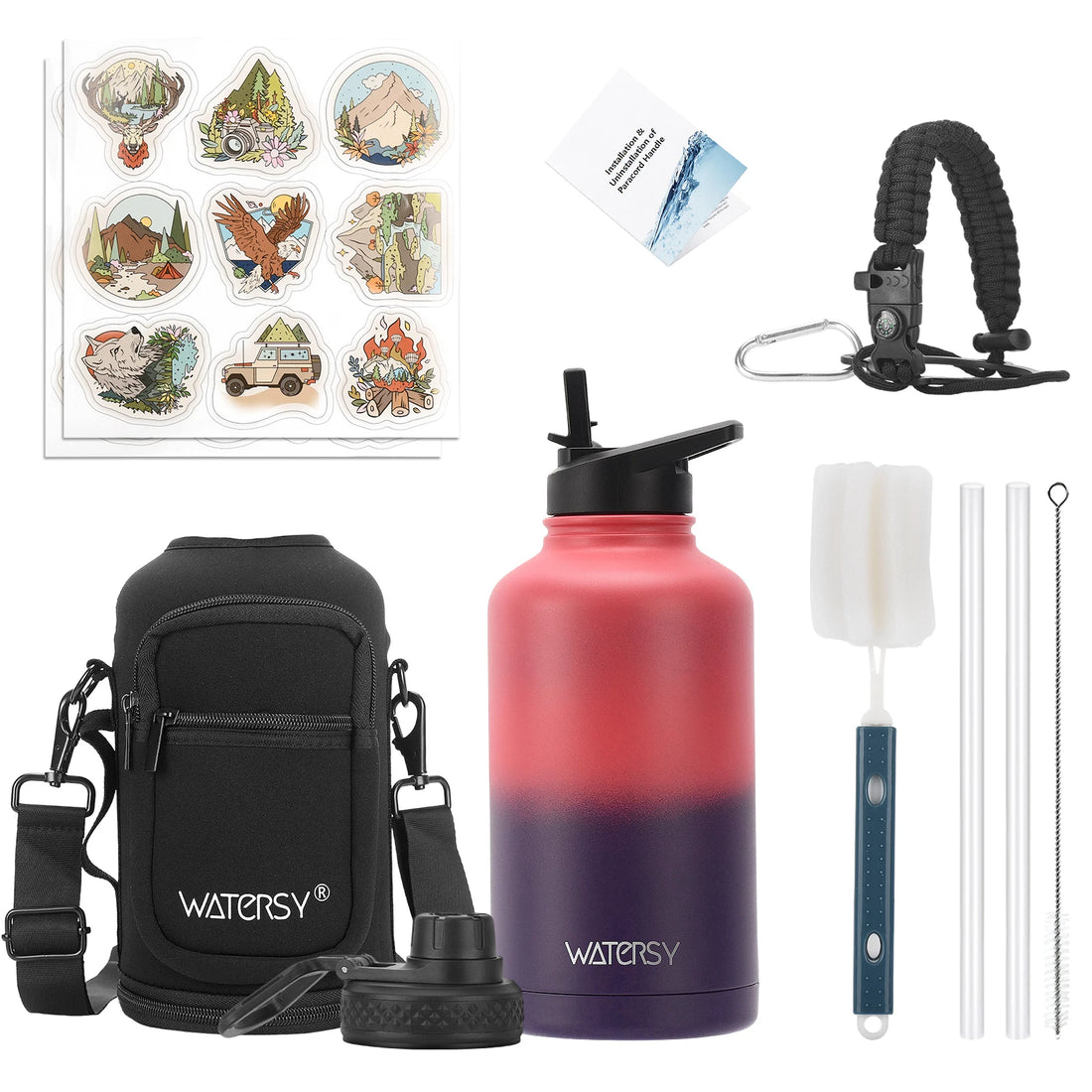 Insulated Stainless Steel Water Bottle