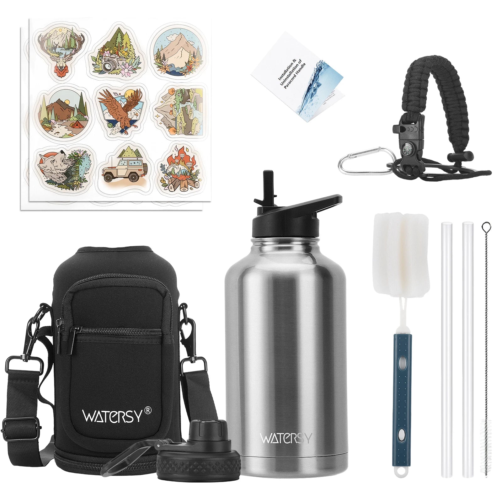 Insulated Stainless Steel Water Bottle