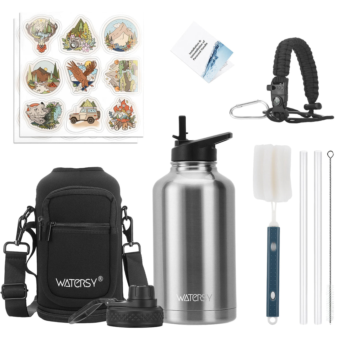 Insulated Stainless Steel Water Bottle