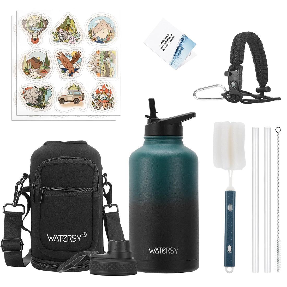 Insulated Stainless Steel Water Bottle