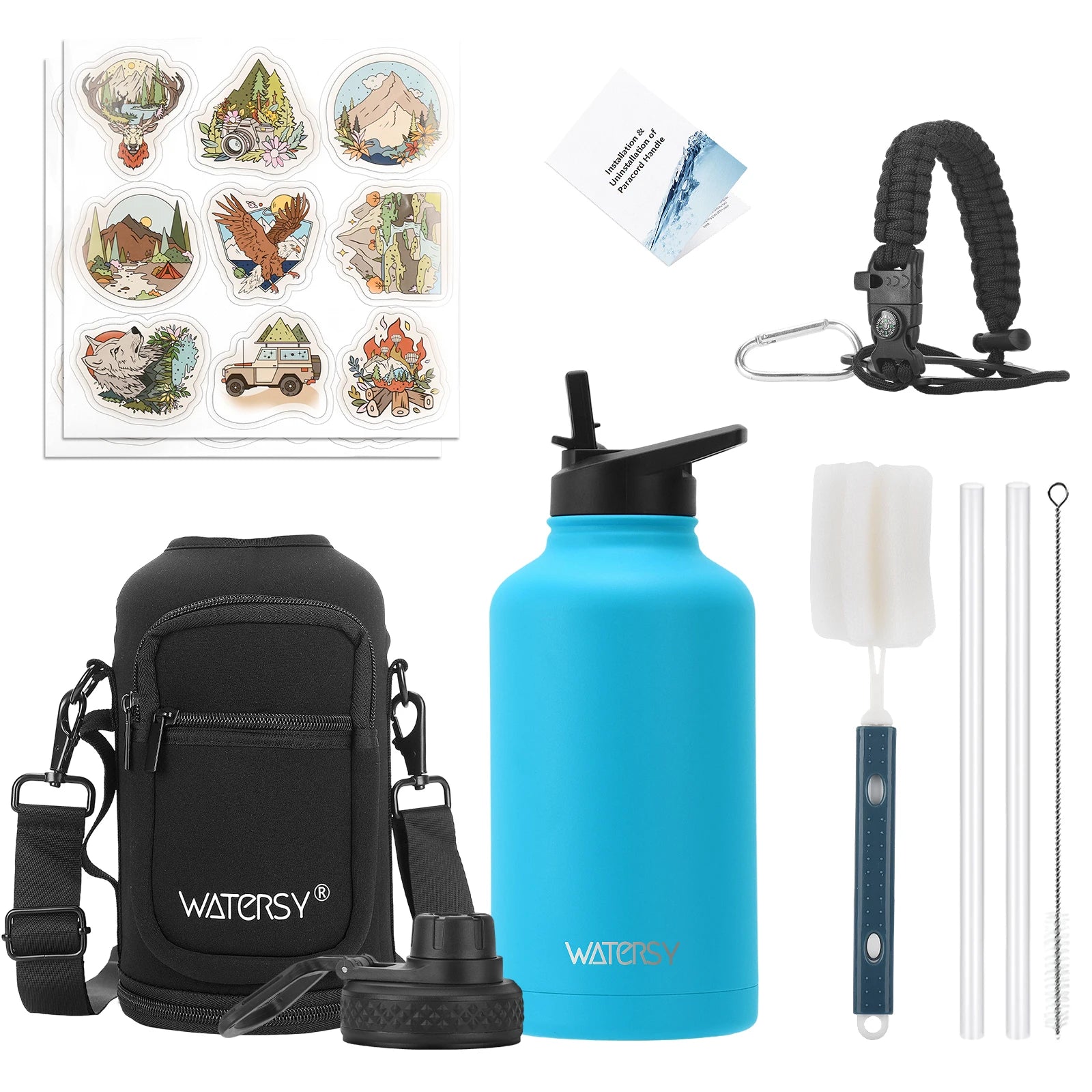 Insulated Stainless Steel Water Bottle