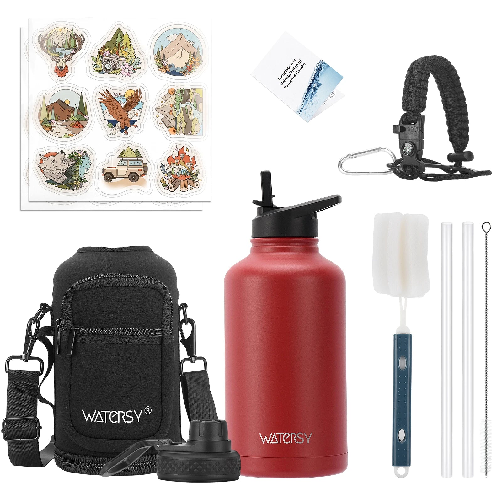 Insulated Stainless Steel Water Bottle