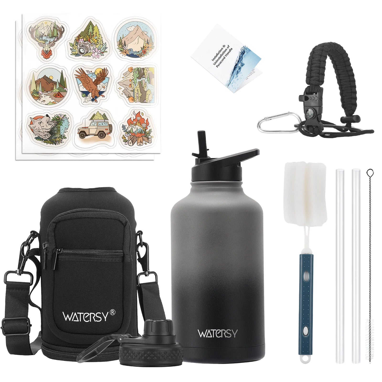 Insulated Stainless Steel Water Bottle