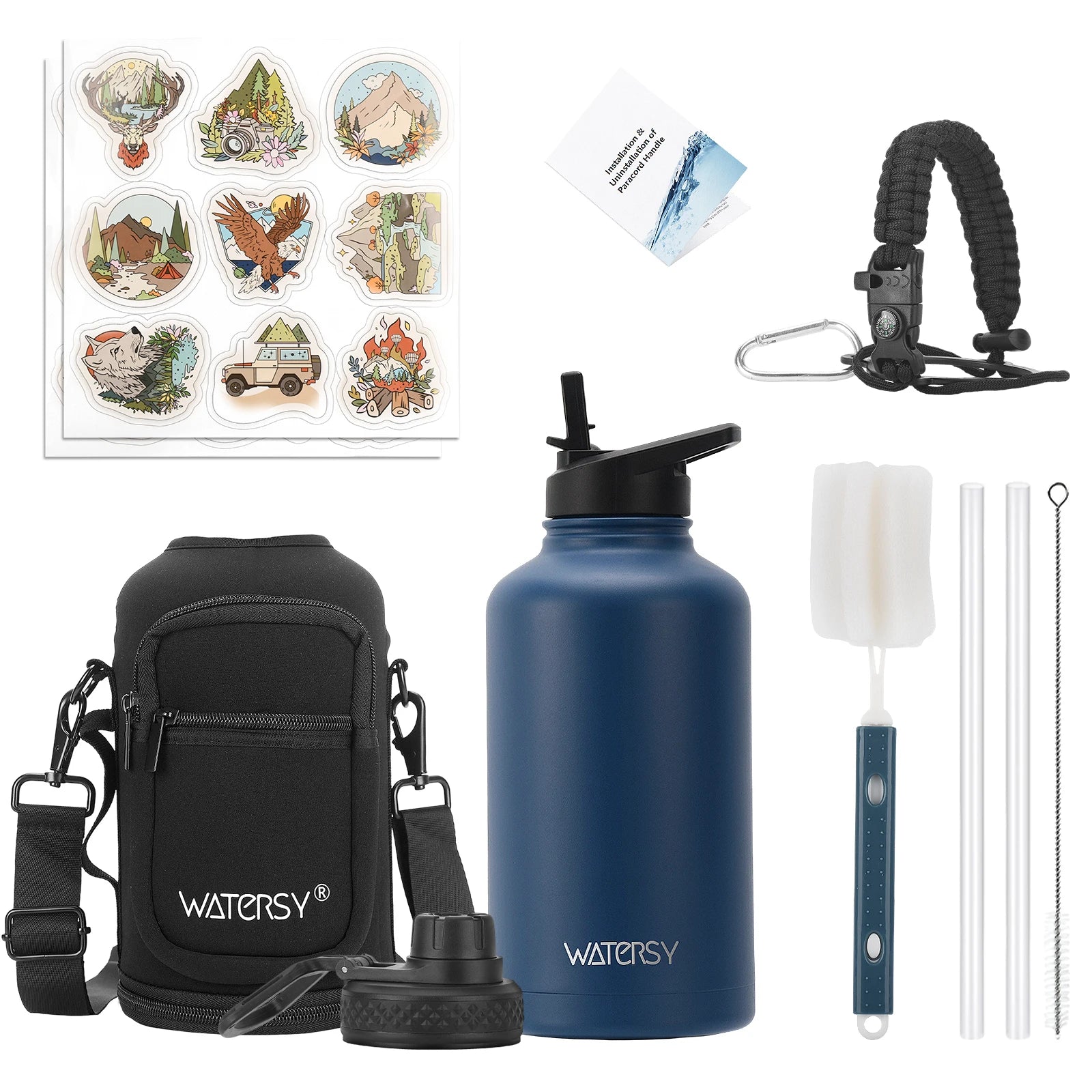 Insulated Stainless Steel Water Bottle