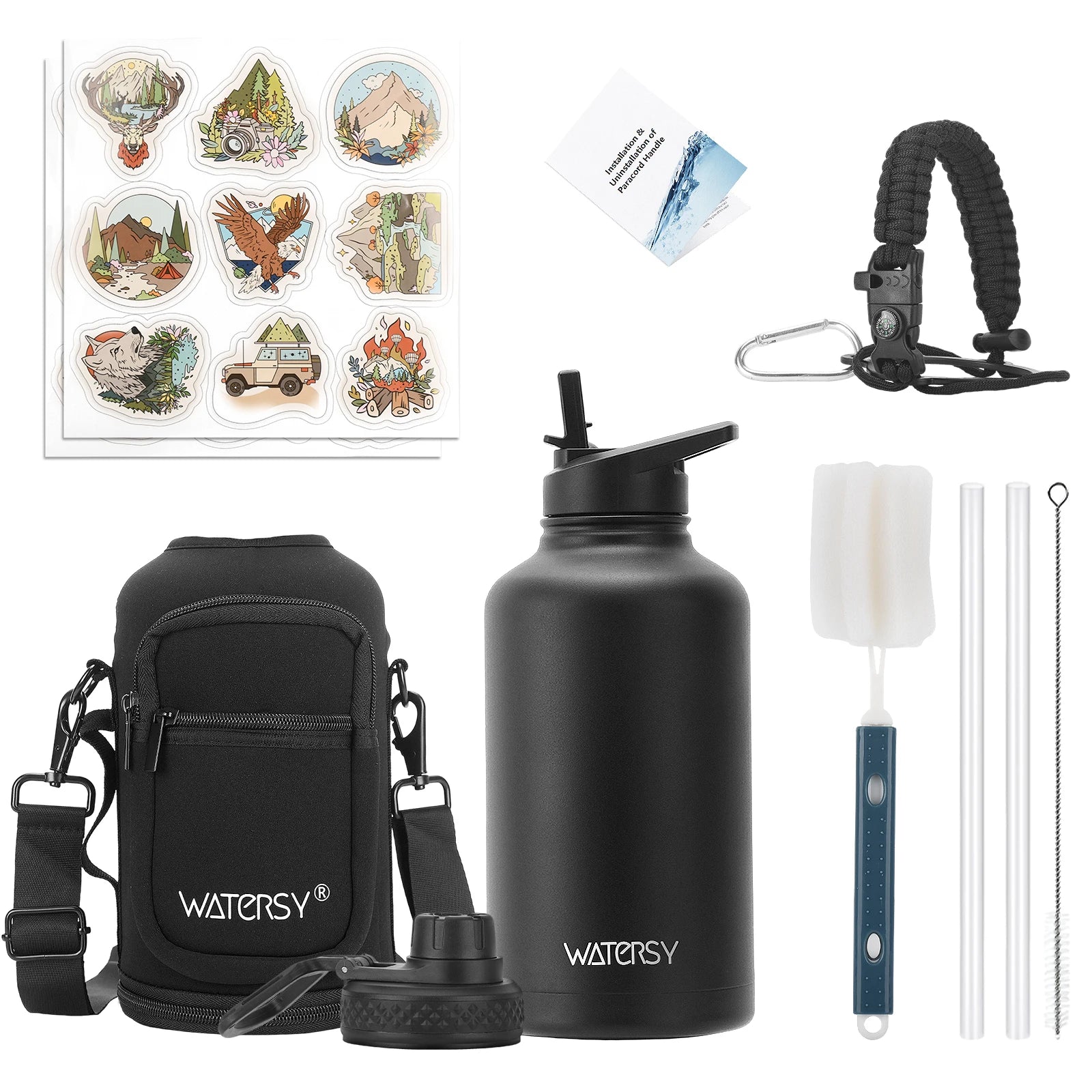 Insulated Stainless Steel Water Bottle