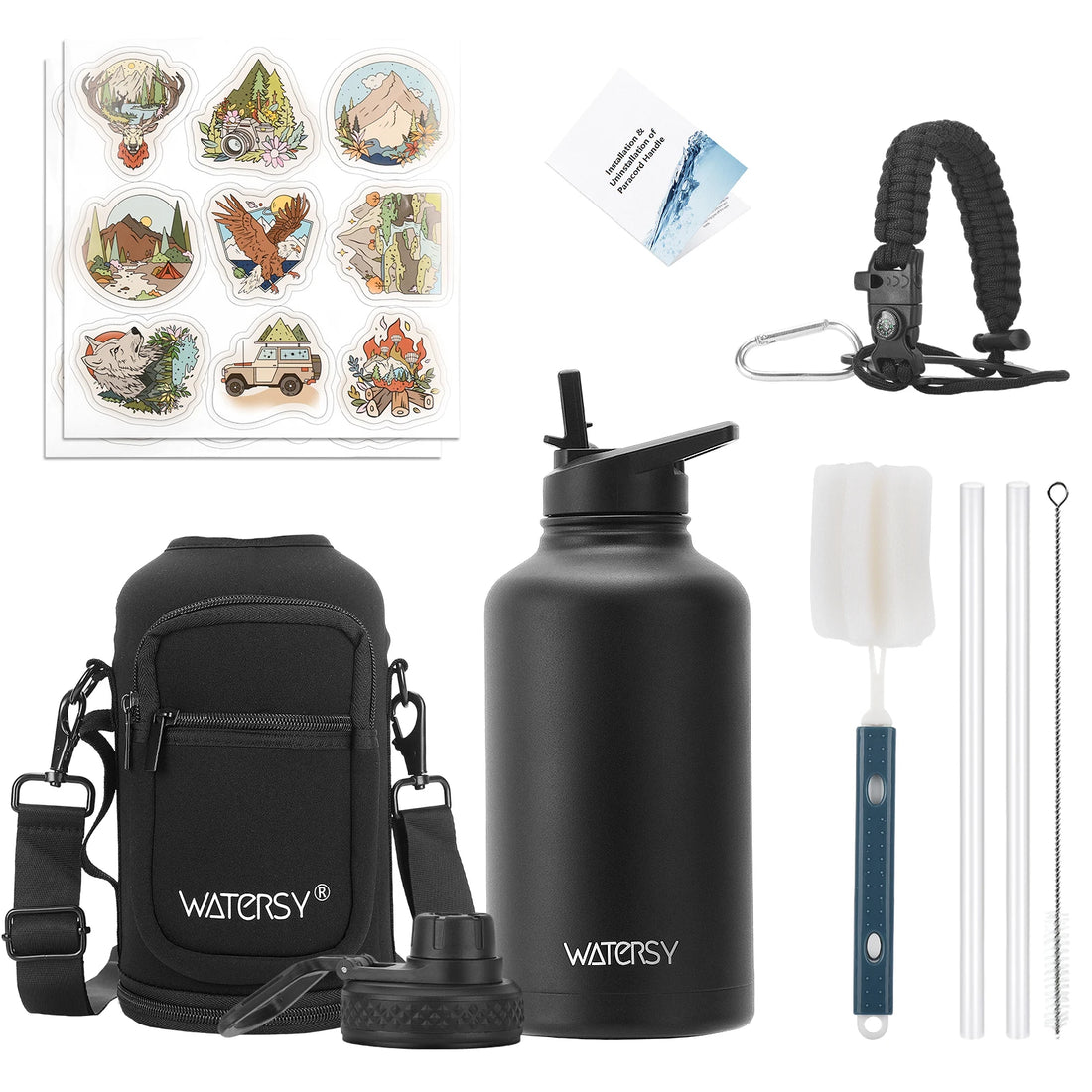 Insulated Stainless Steel Water Bottle